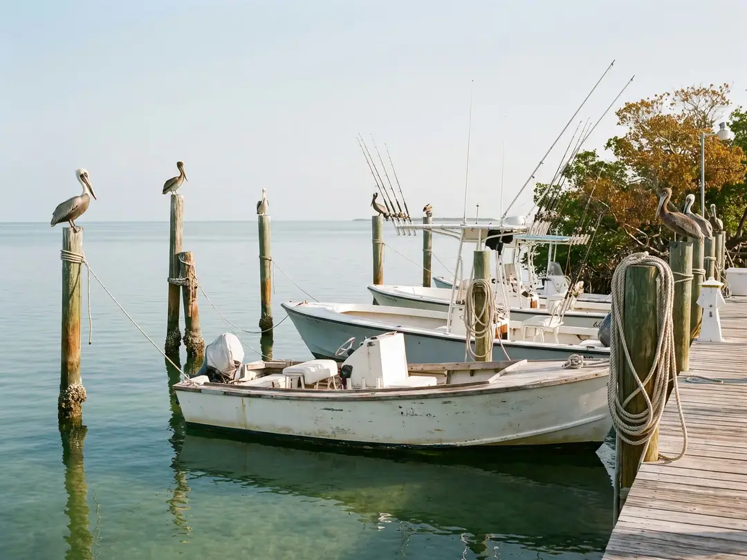Charter fishing boats moored at a wooden marina dock in the Florida Keys.